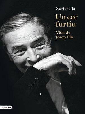 cover image of Un cor furtiu